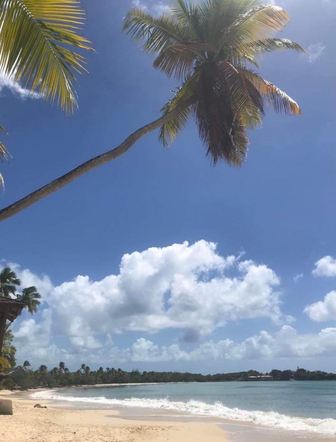 Couleur Caraibes-Cocobeach Martinique Pierre Et Vacances Sainte-Luce Ngoại thất bức ảnh