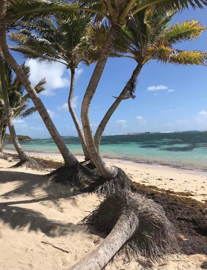 Couleur Caraibes-Cocobeach Martinique Pierre Et Vacances Sainte-Luce Ngoại thất bức ảnh