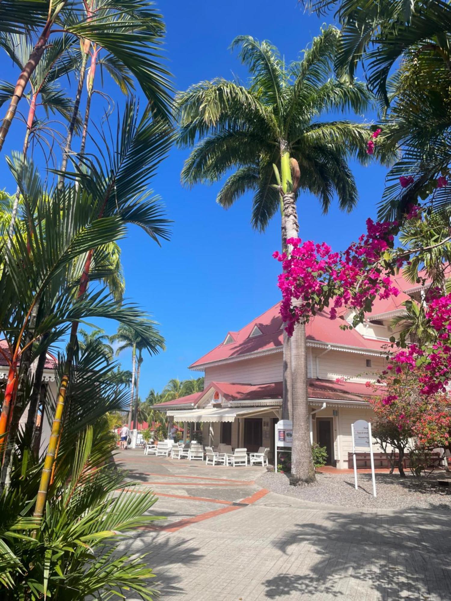 Couleur Caraibes-Cocobeach Martinique Pierre Et Vacances Sainte-Luce Ngoại thất bức ảnh