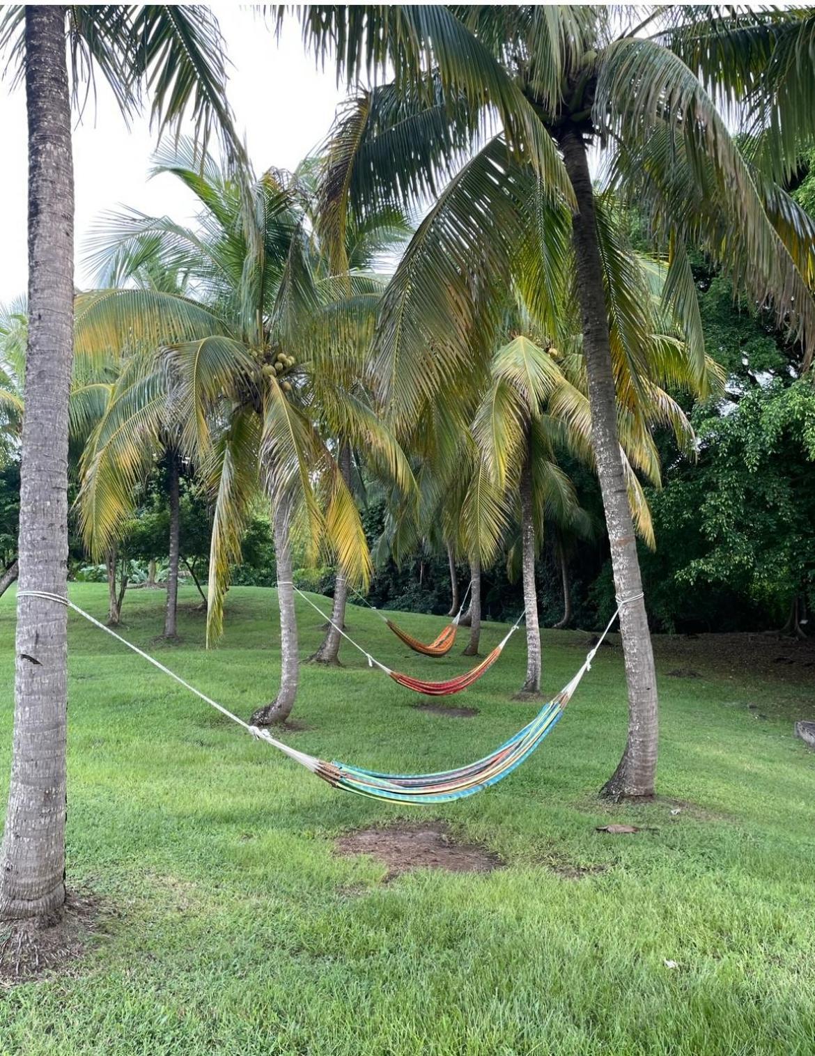 Couleur Caraibes-Cocobeach Martinique Pierre Et Vacances Sainte-Luce Ngoại thất bức ảnh