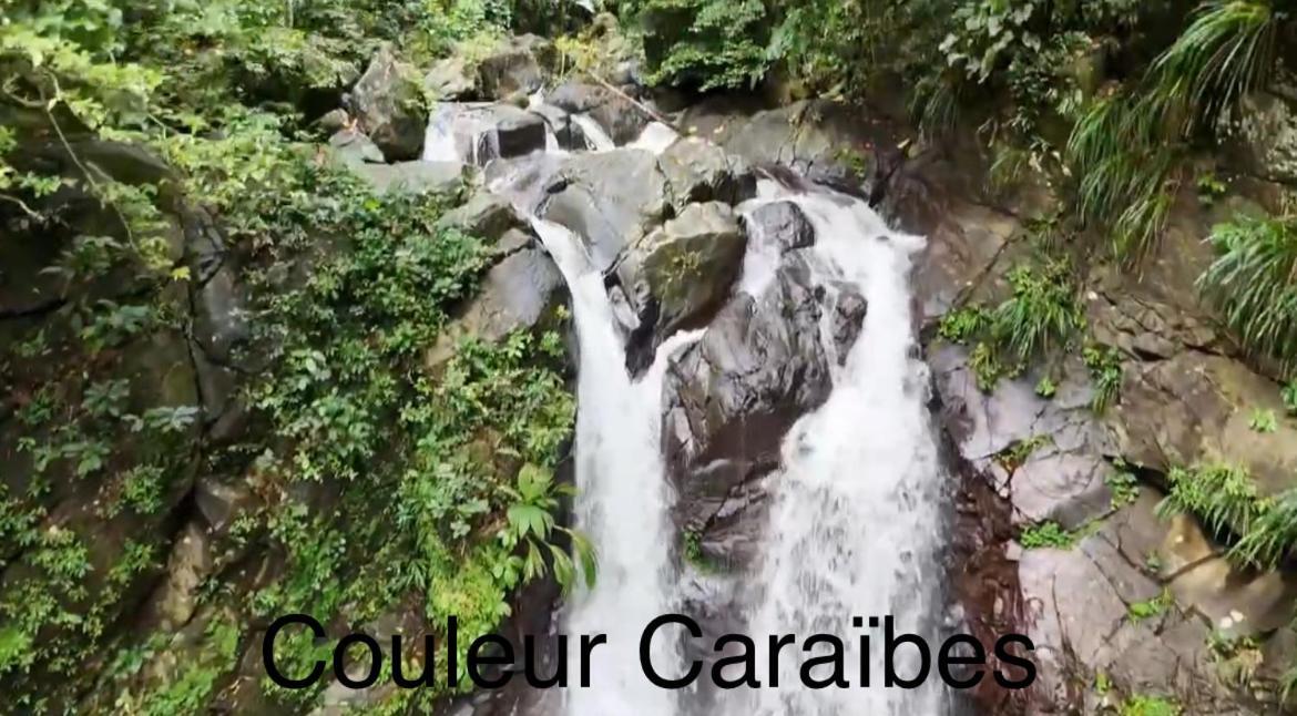 Couleur Caraibes-Cocobeach Martinique Pierre Et Vacances Sainte-Luce Ngoại thất bức ảnh